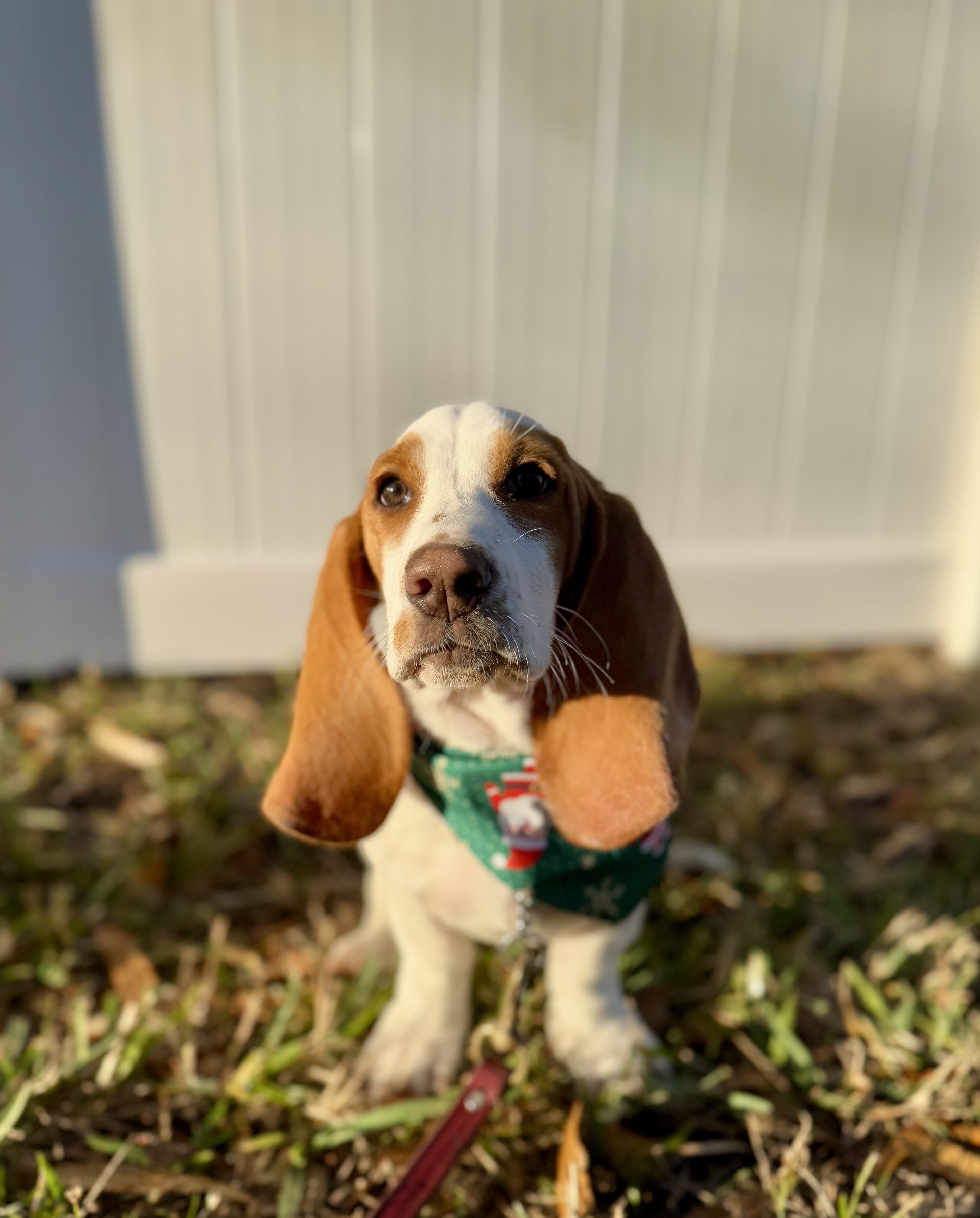 Behavioral modification session