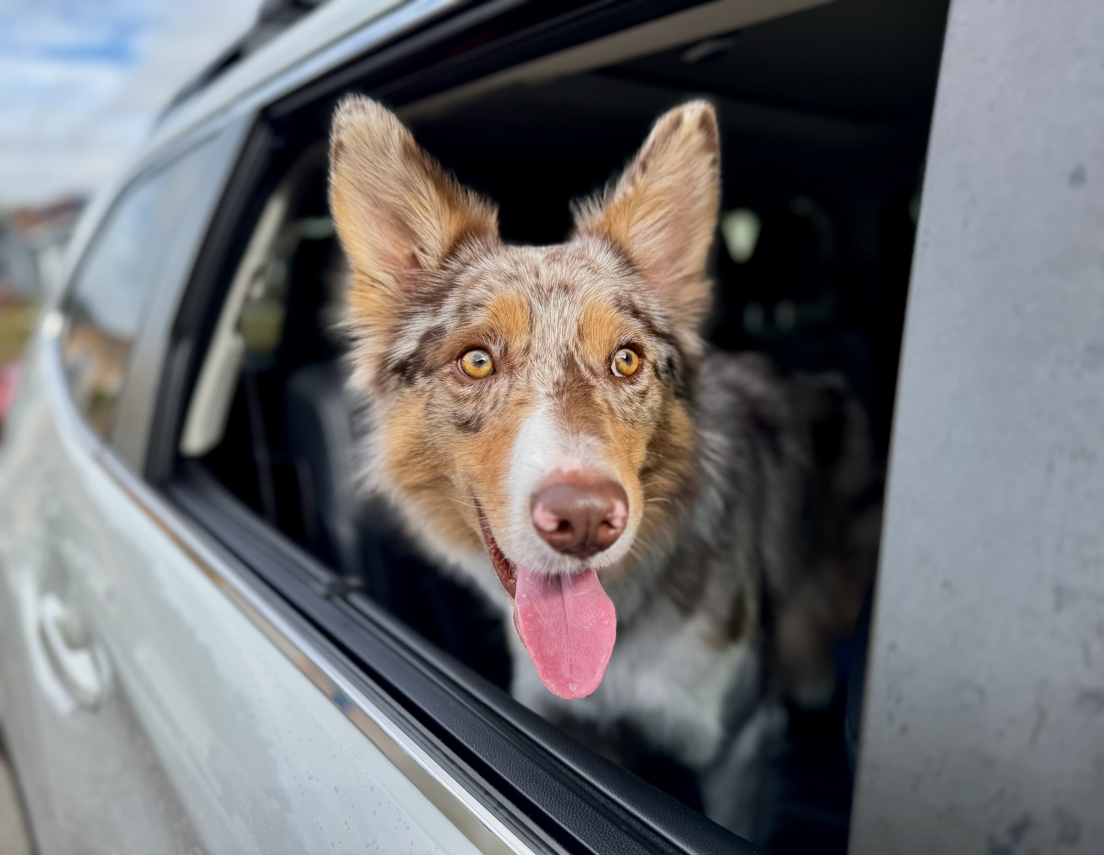 Success story transformation