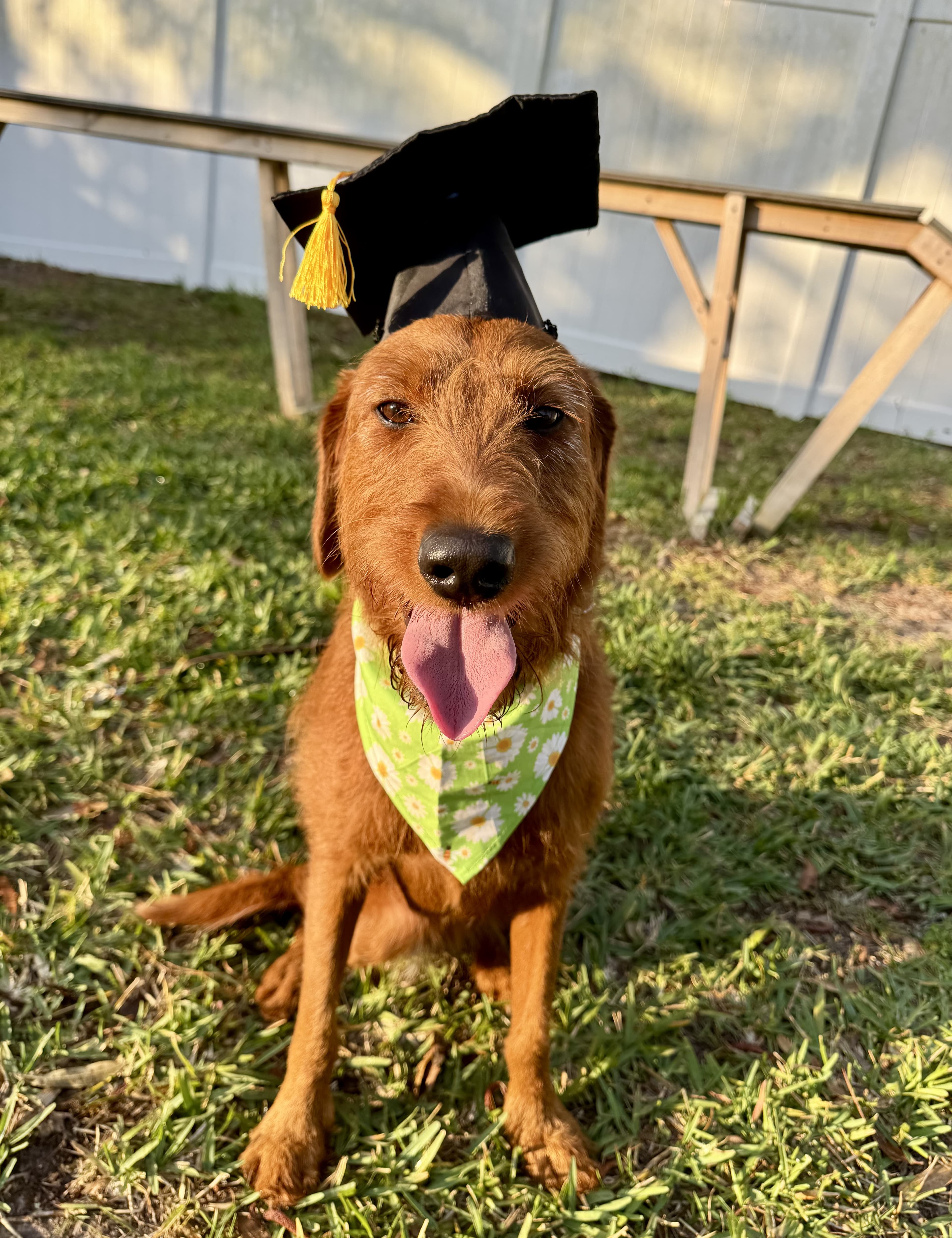 Behavioral modification success