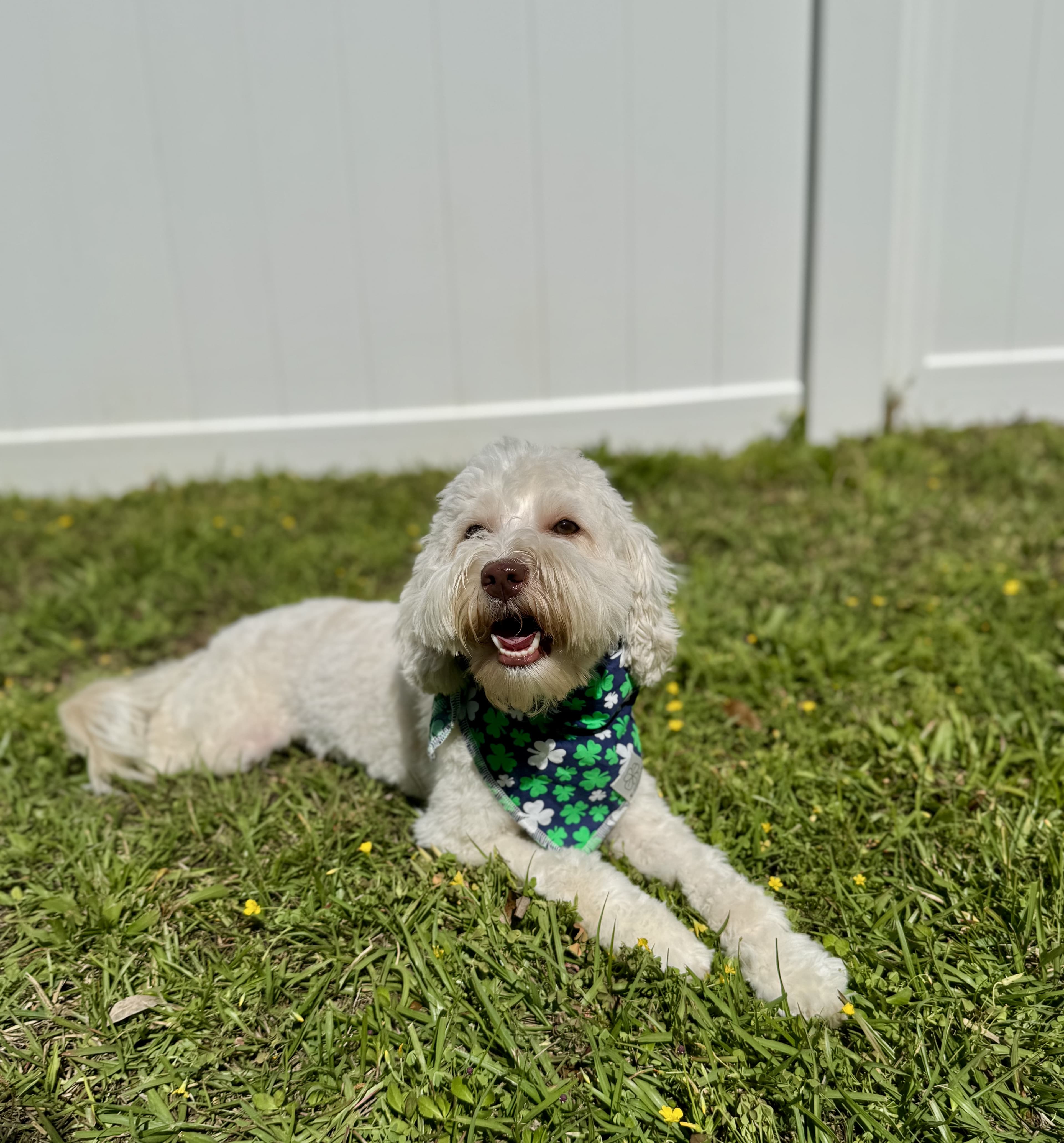 Training success story