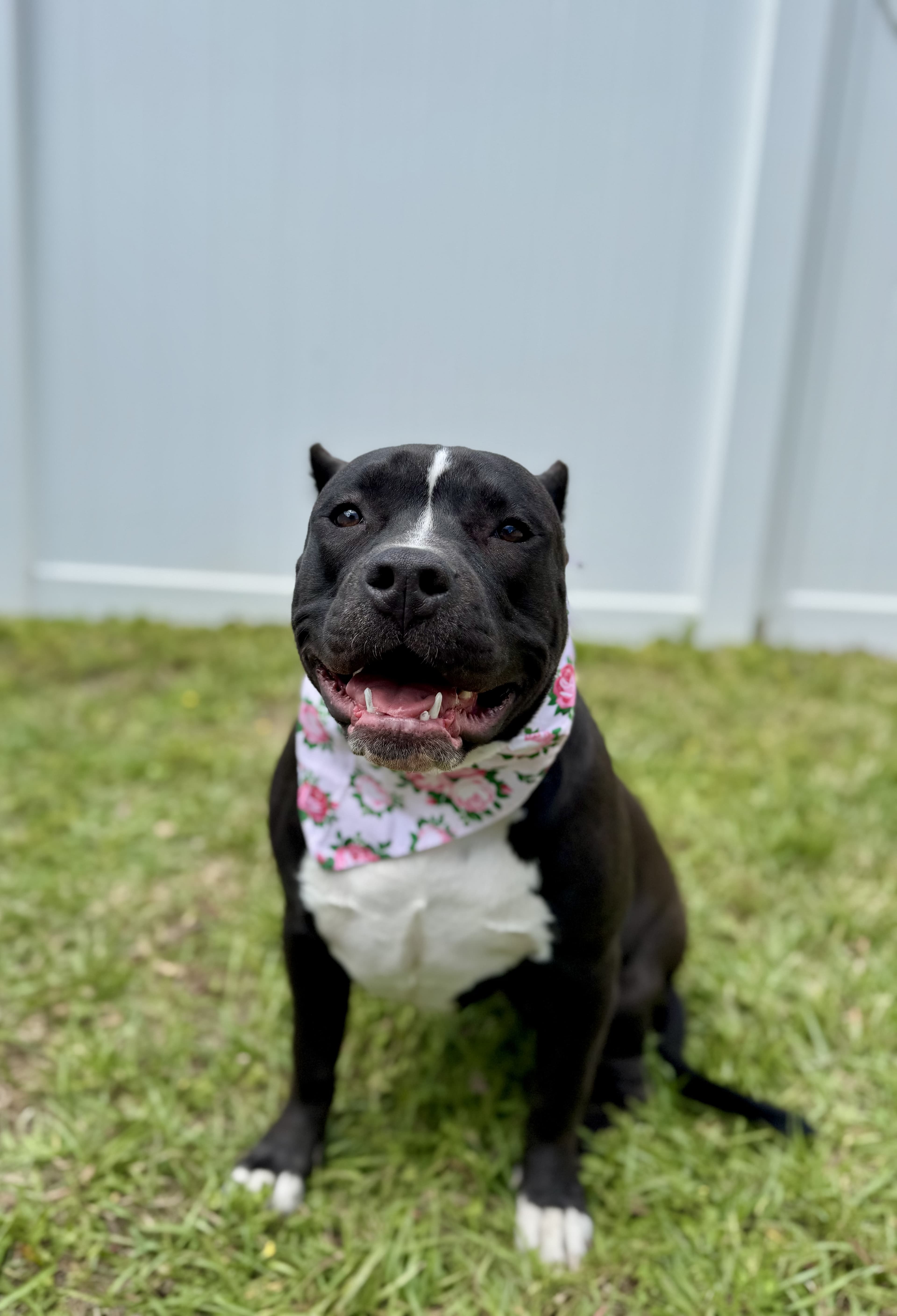 Behavioral modification progress