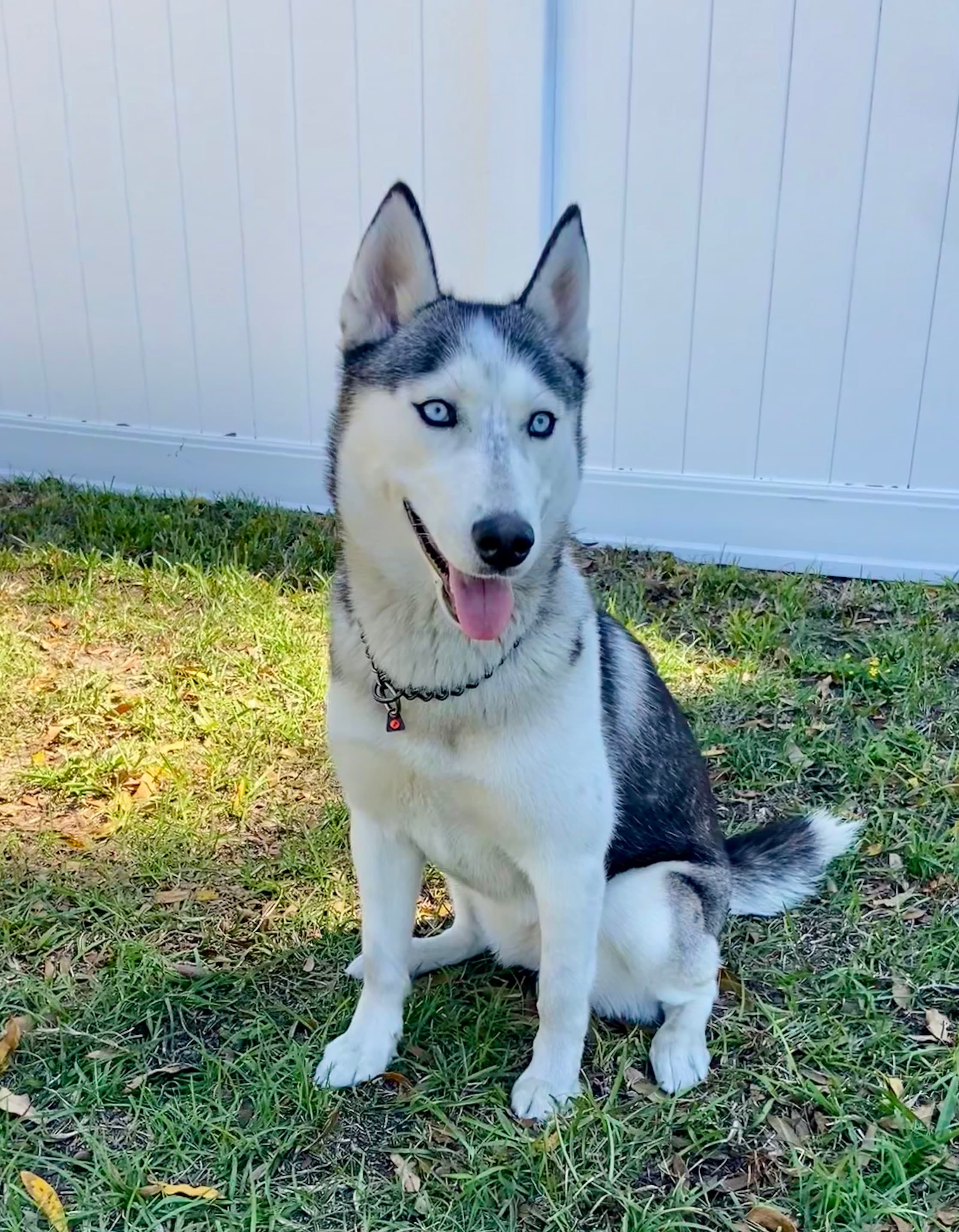 Training milestone celebration