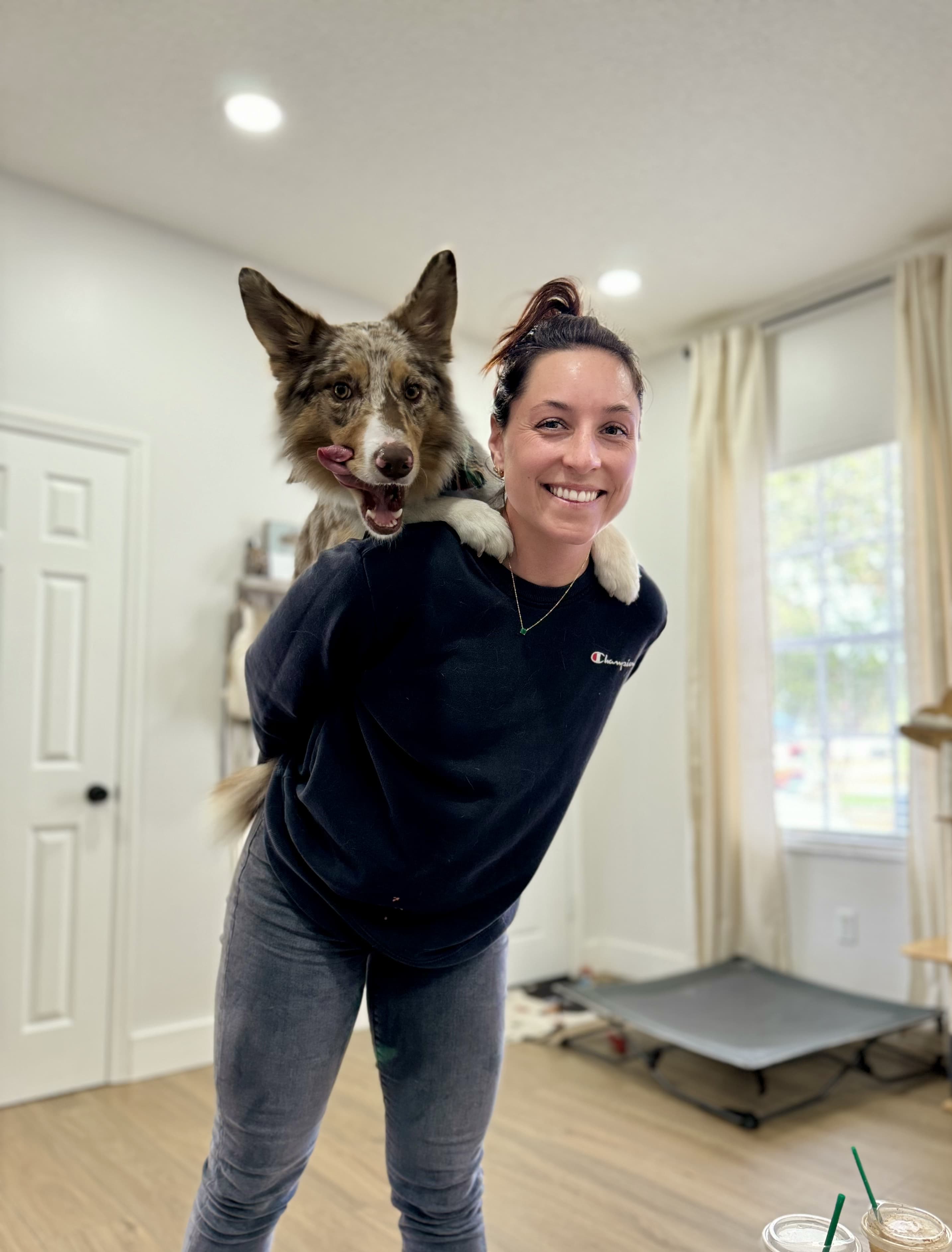 Dog training excellence