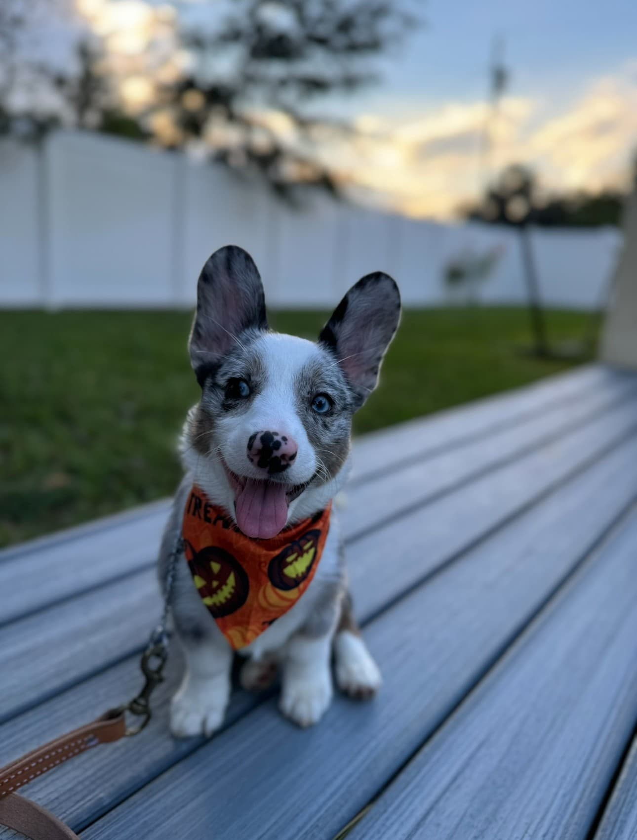 Training success story