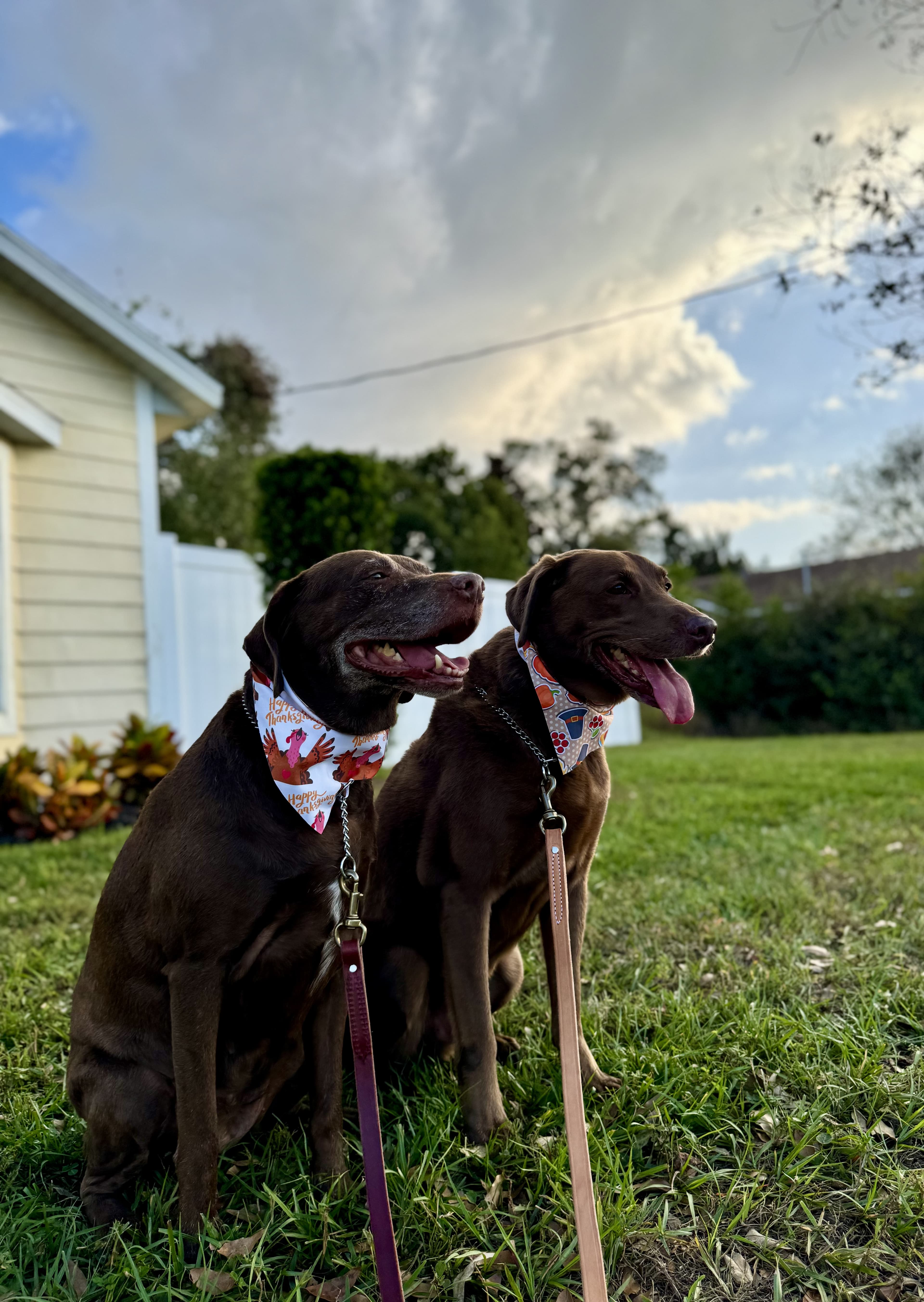 Training progress session