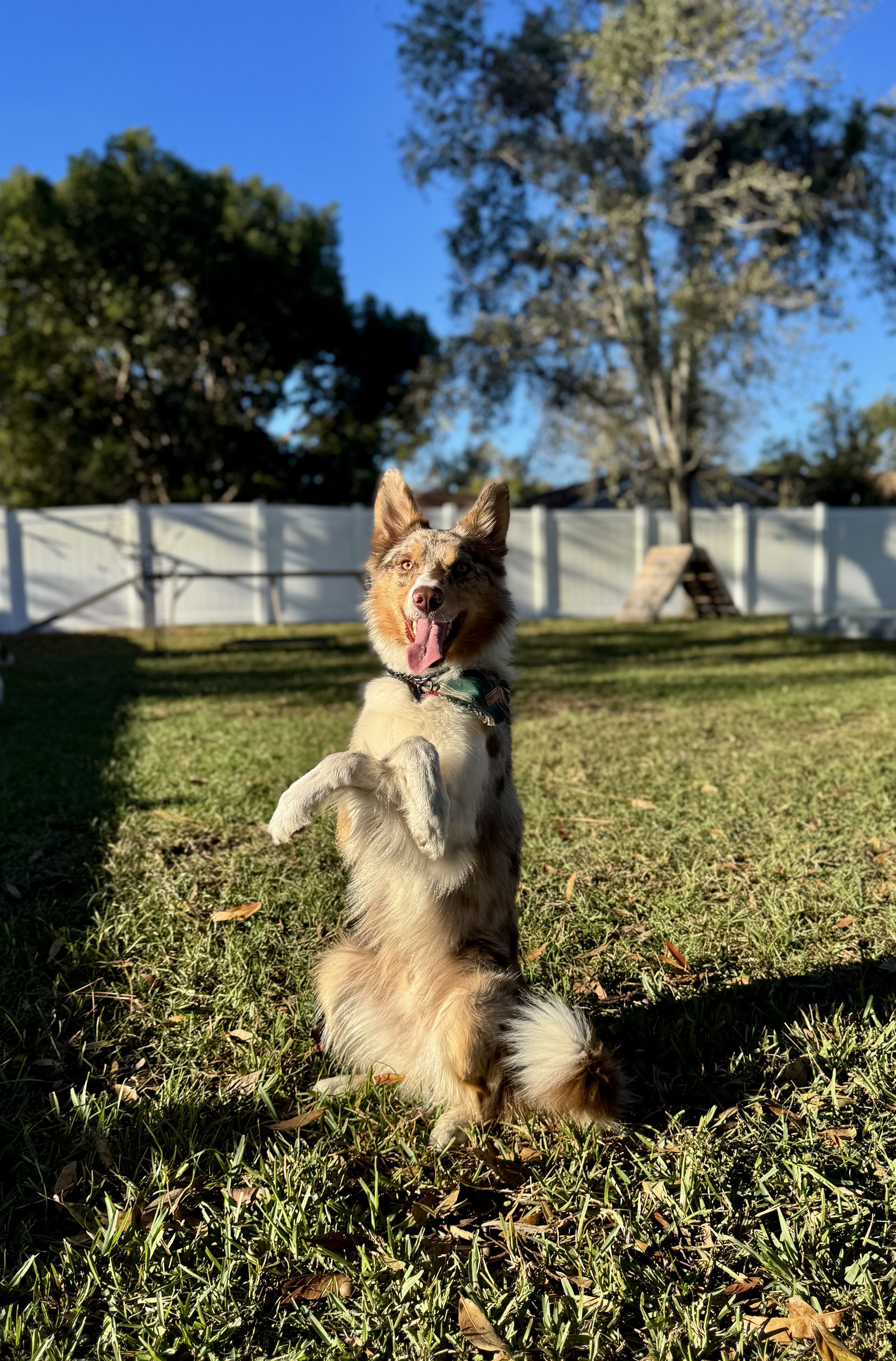 Professional training work