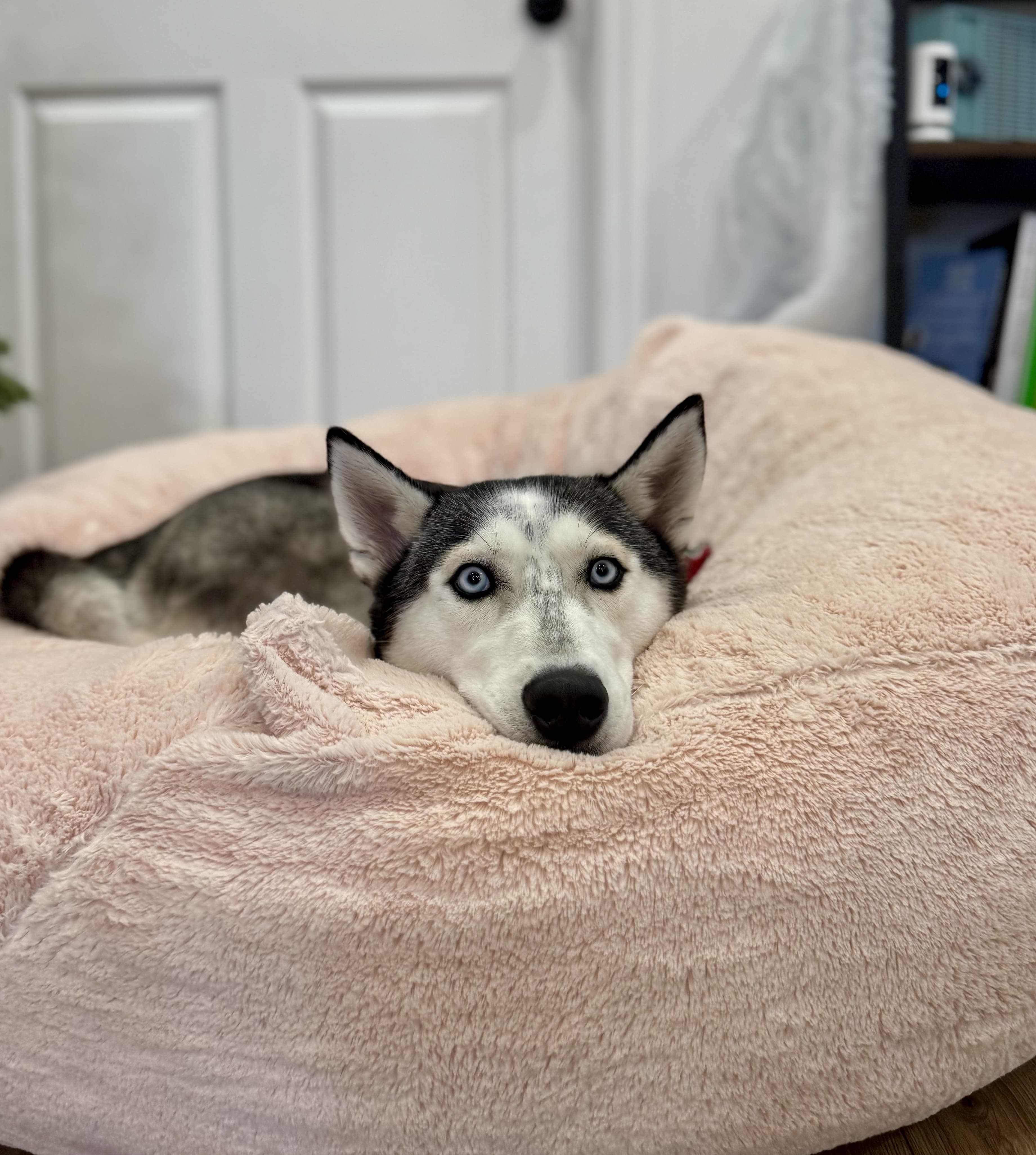 Training session in progress